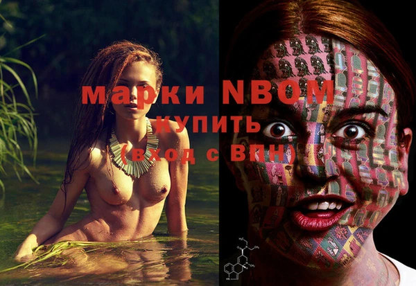 spice Алзамай
