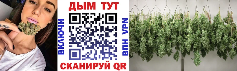 Конопля AK-47  купить   Байкальск 